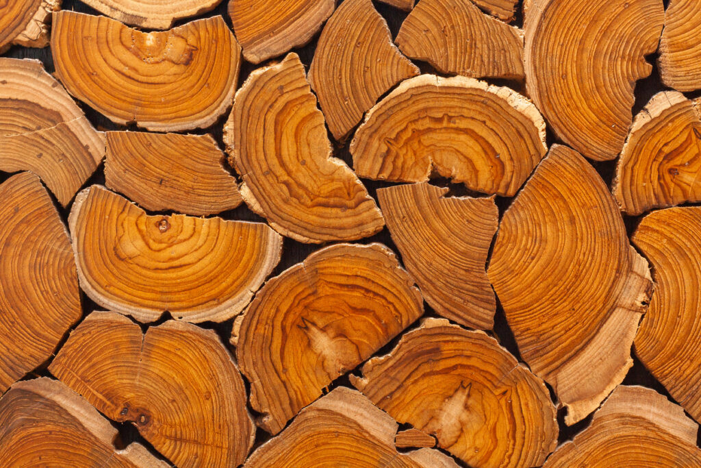 Burmese Teak vs. South American Teak2